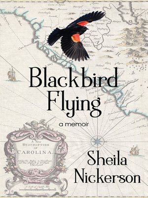 cover image of Blackbird Flying